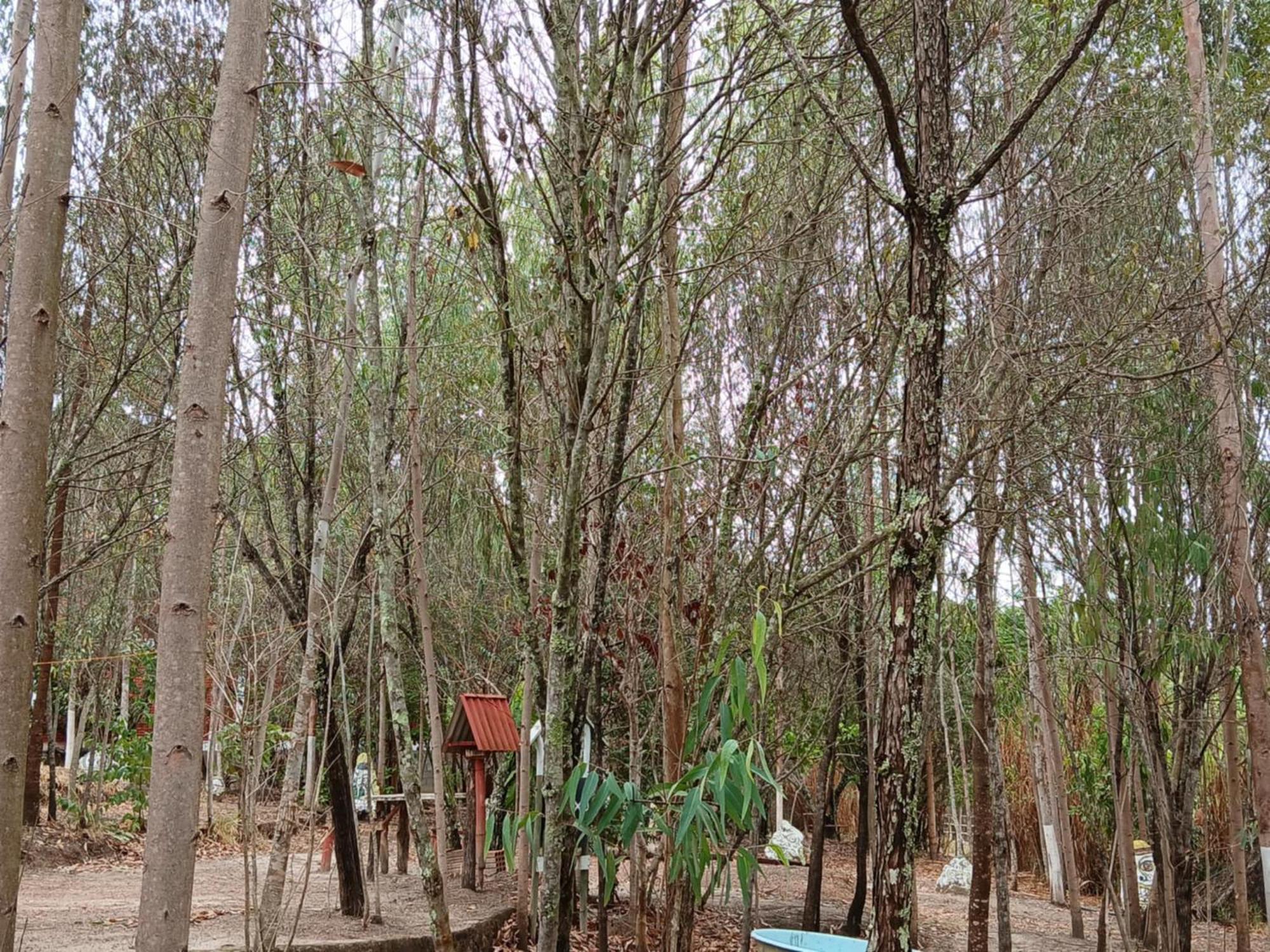 Camping Avohai São Tomé das Letras Exterior foto